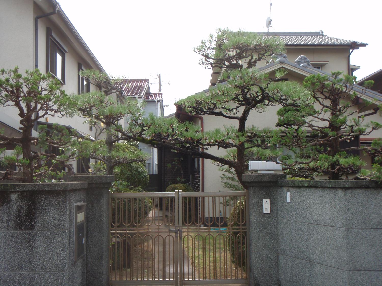 剪定