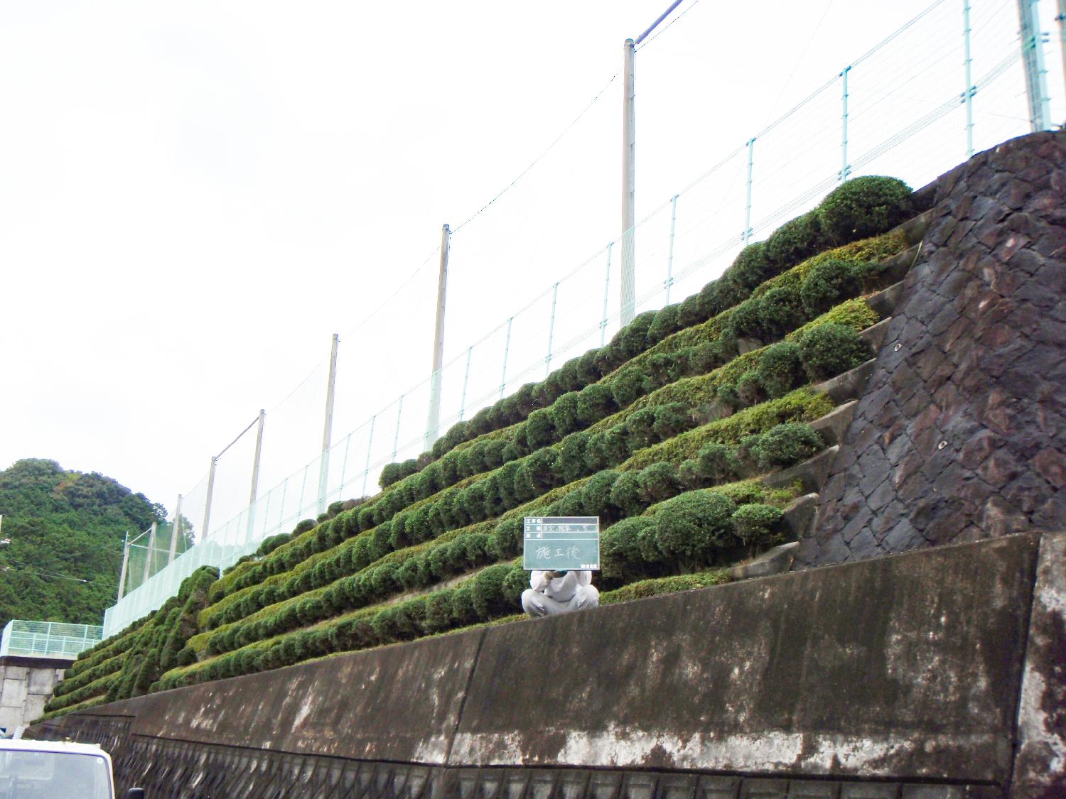 除草・剪定