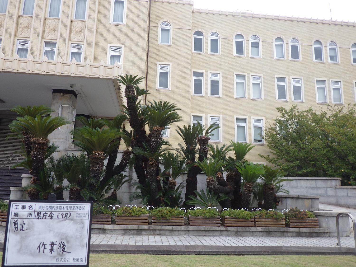 県庁舎構内他樹木管理業務委託