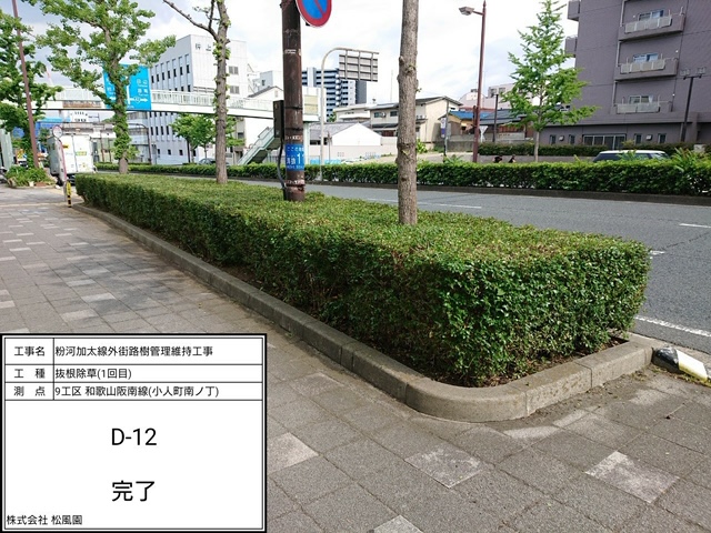 平成31年度 粉河加太線外街路樹管理維持工事