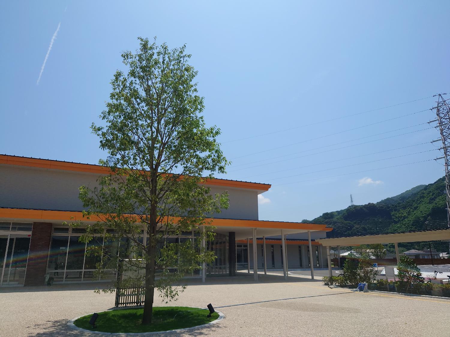 海南サクアス植栽工事