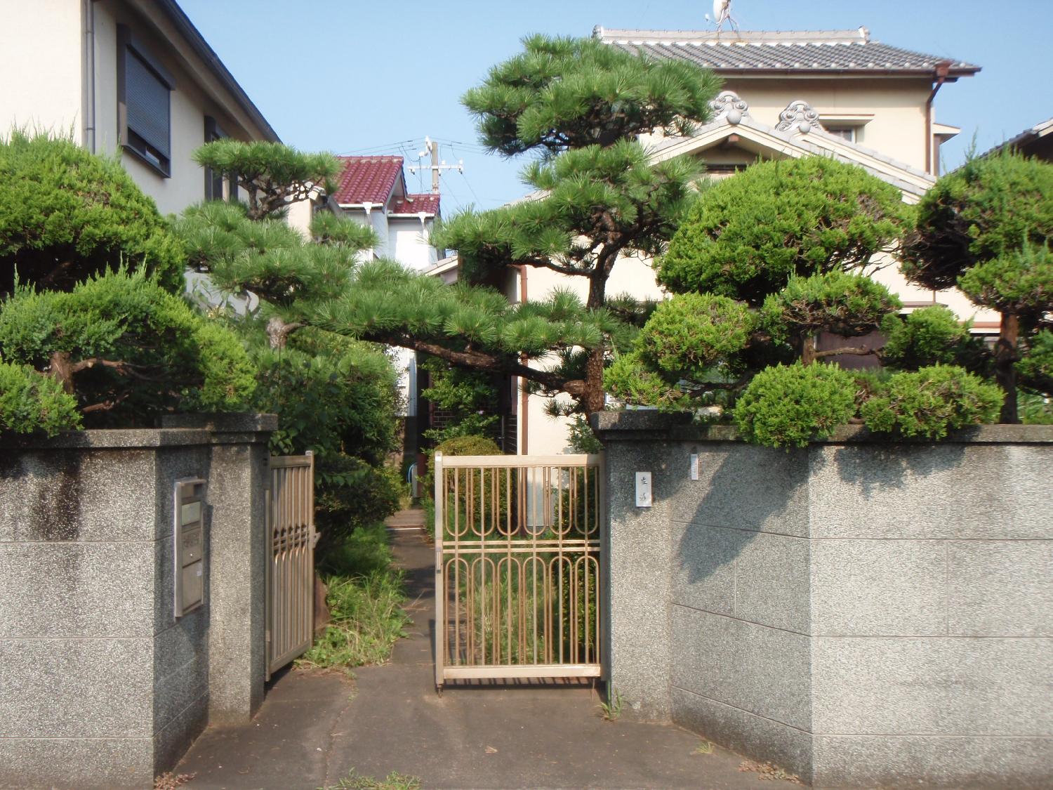 剪定前