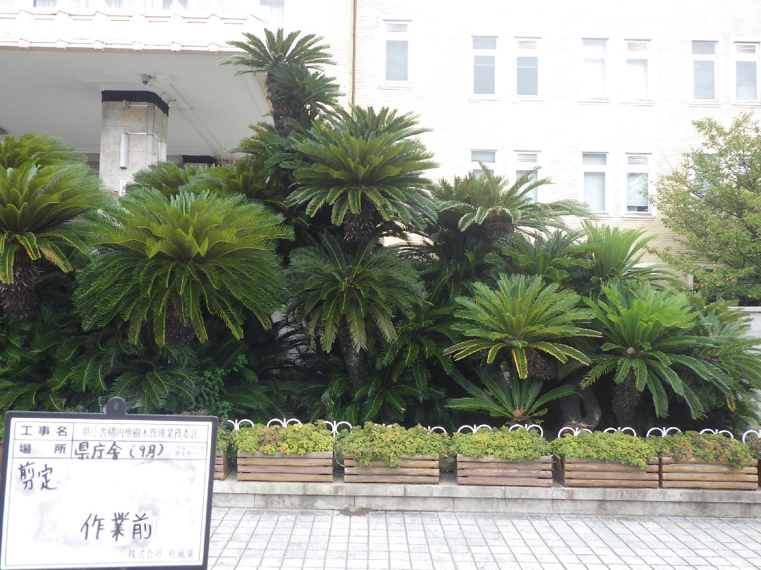 施工前
